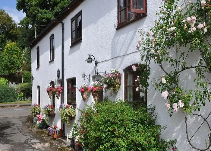 Shepherds Row Bed And Breakfast